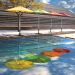 Treasure Garden - Multi-Color Umbrellas